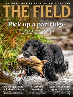 cover image of The Field
